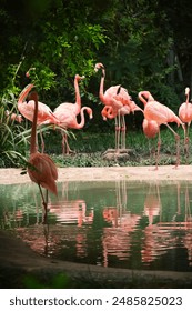 爱拼奋斗:年轻人如何在职场中展现自己的价值