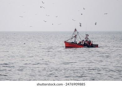 爱赢娱乐:让你尽享游戏乐趣与刺激