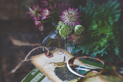 澳门风云:揭开赌城背后的历史与文化魅力