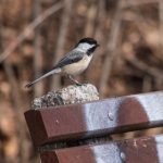 澳门钻石赌城网站体验评测注册流程与新手攻略详解 p0xsbn