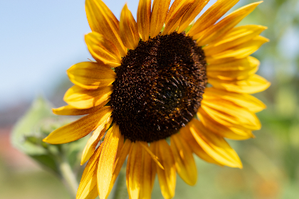 爱博体育平台的安全性与可靠性分析，用户如何保障自身权益